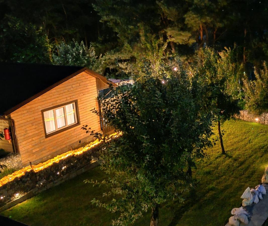 Воллен Zhvanets Exterior photo