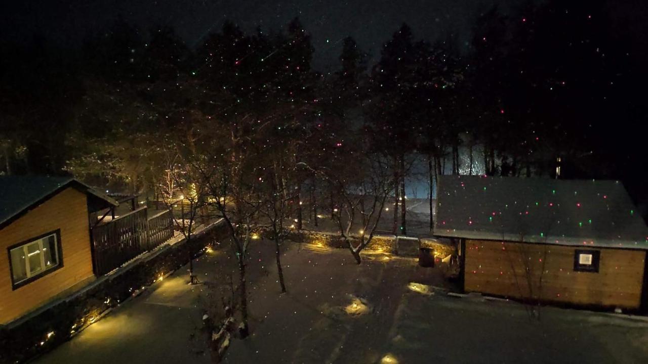 Воллен Zhvanets Exterior photo