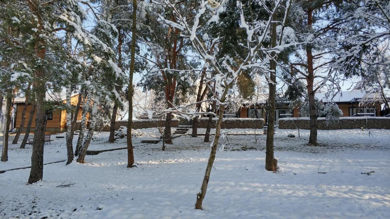 Воллен Zhvanets Exterior photo